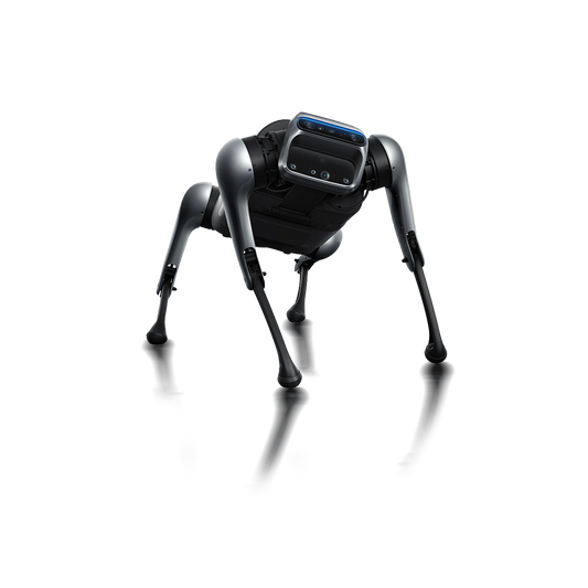 Xiaomi CyberDog