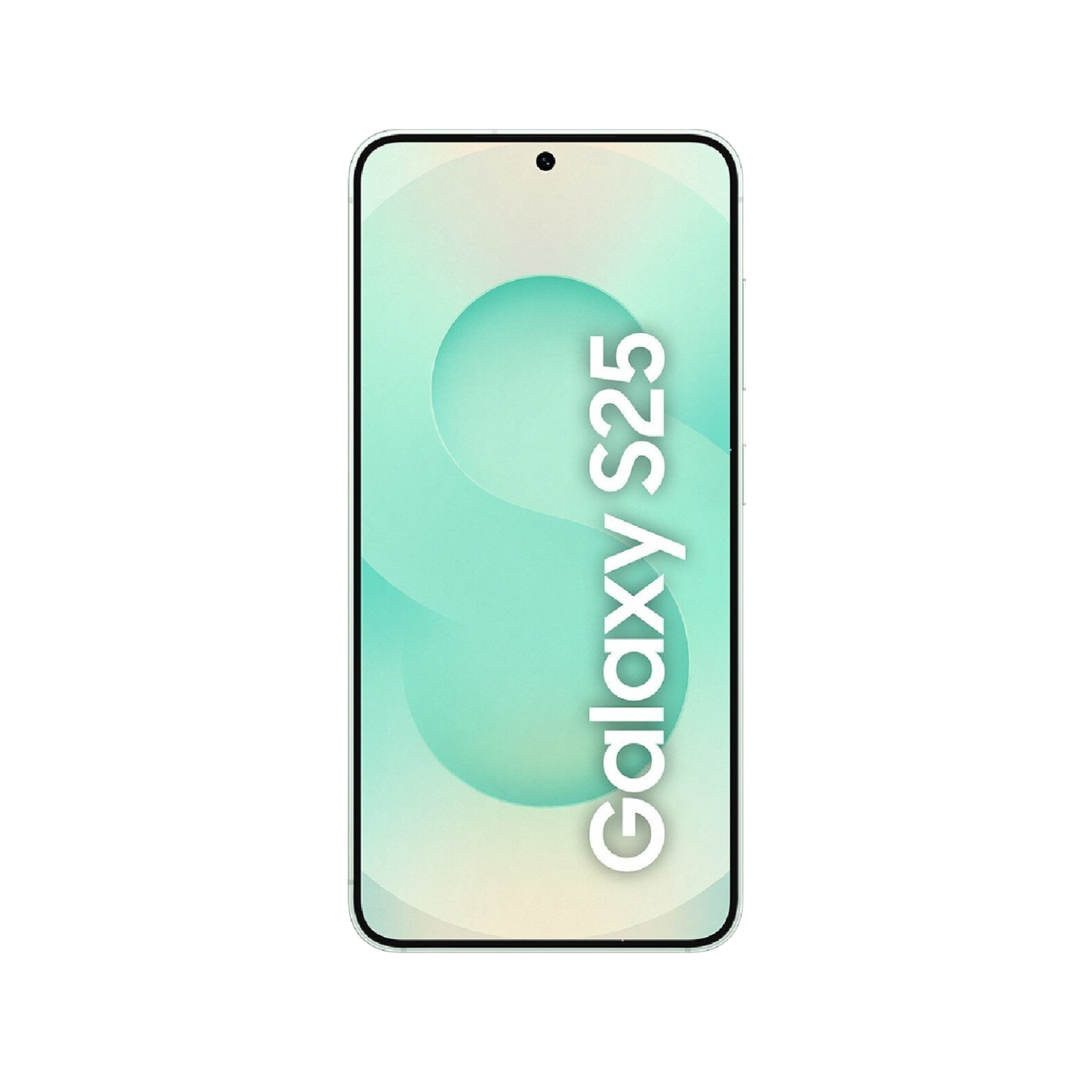 Smartfon Samsung Galaxy S25 5G.