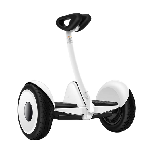 Ninebot S